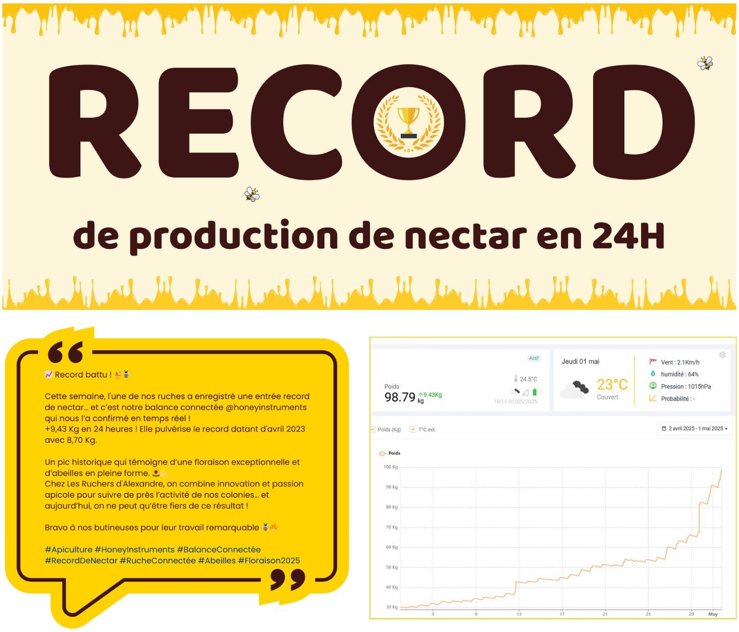Record de production de miel en 24H