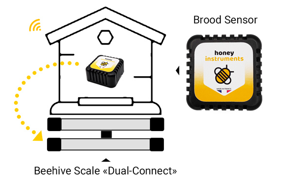 Brood sensor temperature and humidity for beehive