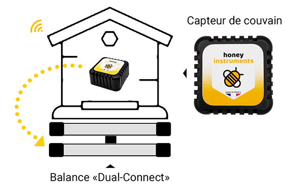 Capteur de couvain température et hygrométrie pour ruche