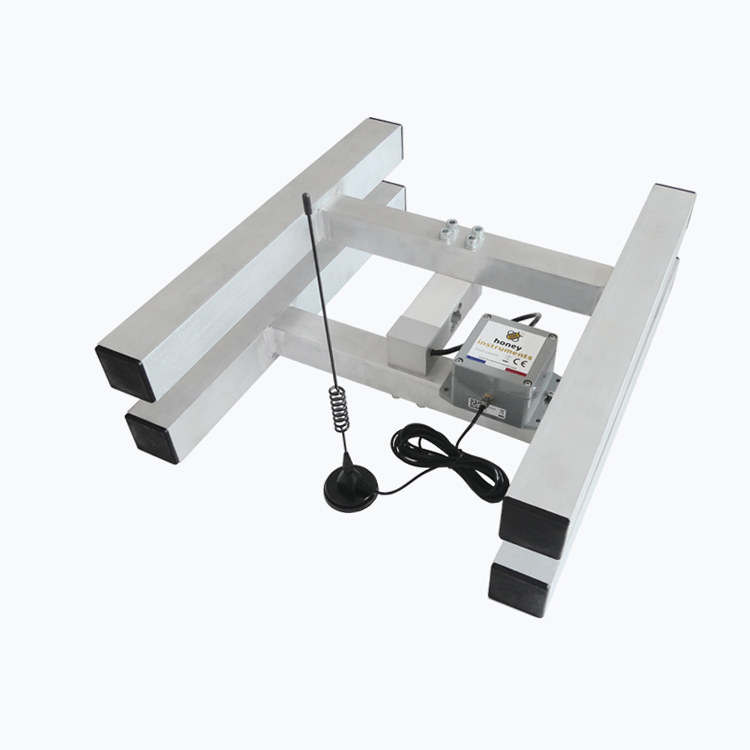 Pile lithium 3.6V pour balance honeyinstruments