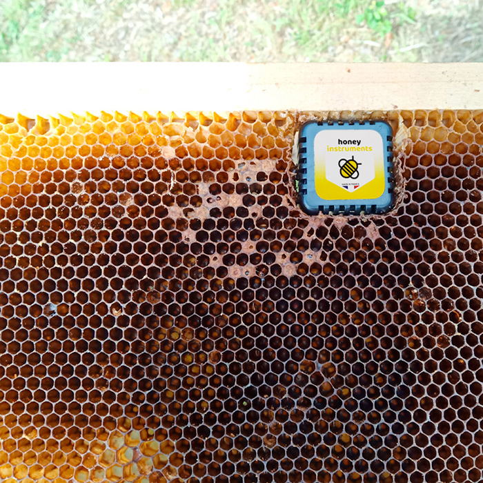 Brood Sensor for Beehive - 2
