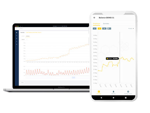 Graphique et interface de gestion des ruches